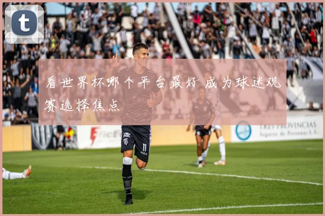 看世界杯哪个平台最好 成为球迷观赛选择焦点
