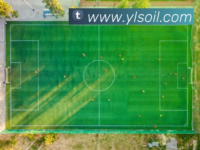 米兰官方网站入口品牌故事