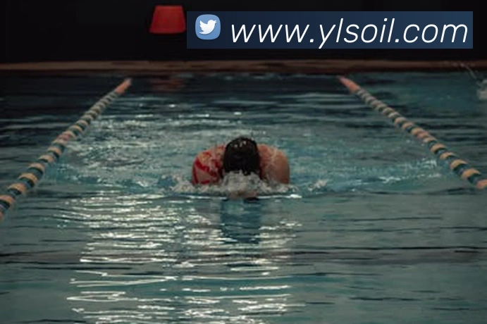 米兰官方网站入口服务体系