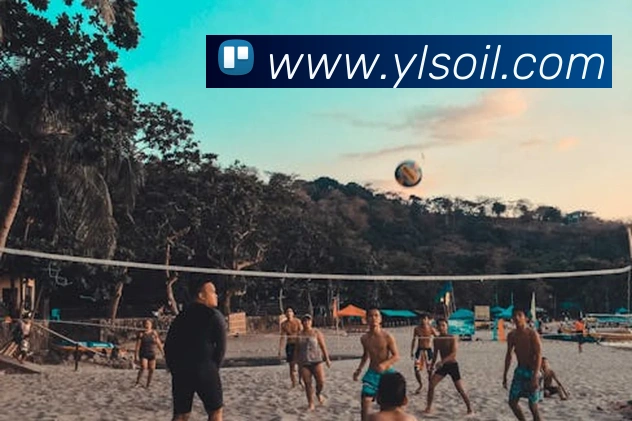 多媒体互动体验